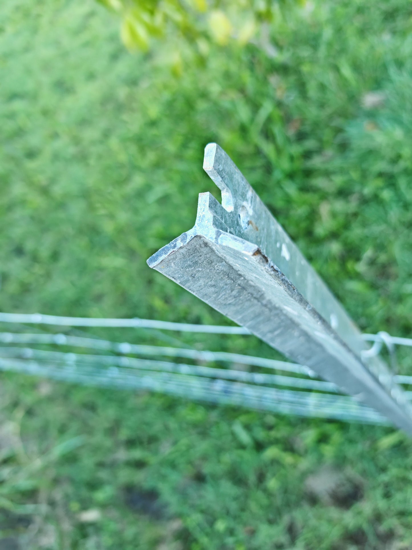 1.8m long Hot dip galvanised star picket